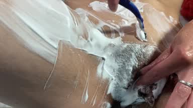 (NEW!) Preview of pussy shaving in the shower