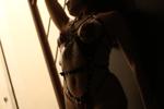 Harness <3