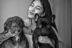 My Dogs