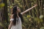 hii i´m sofii follow me ✨ — magic forest🍃✨