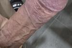 filippo12356 — veny cock