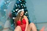 Marry Christmas and Happy New Year! (big pack)
