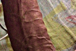 my veiny cock