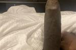 Black Cock