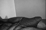 sunglassbear live streaming profile