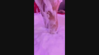 playing with soap in the jacuzzi, nude and naughty