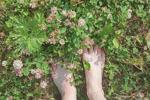 feet