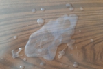 cum shot