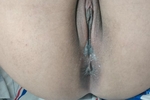 cum skarlet