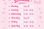 my weekly schedule