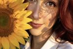 danysca — the sunflower, my favorite flower