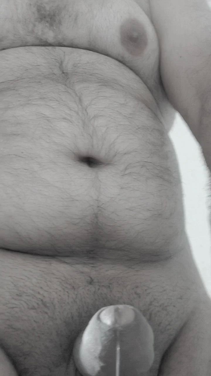 Bull Pre-cumming