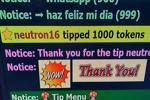 mis tipers que amo