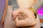 nascary fox โ play foreskin