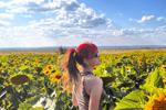 eva ❤️ — sunflowers