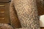 Cheetah Legs