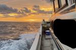 wildwickedchaos โ Morning/Evening Fishing Pictures