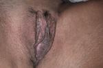 Pussy