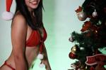 Merry Christmas and a Happy New Year