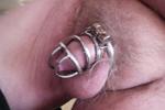 metalcage