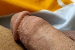 Morning cock