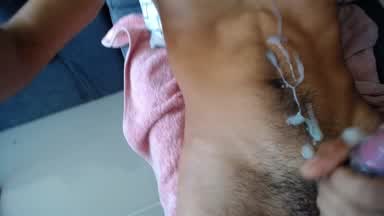 Hot Milk in the Morning