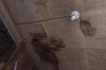 ROOF DAMAGED