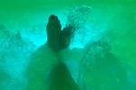 feet and water color