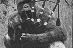 akiltedman42