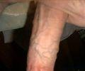 plump cock 