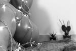 Merry Christmas everyone ♥