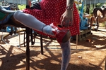 Bella's Pinup Carousel