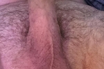 Cock a 2