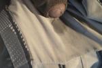 Precum soaked Underwear for sale