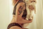 I am a kitten