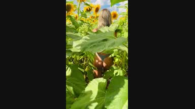 🌻walk in the sunflowers🌻