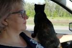 Me and my pussy