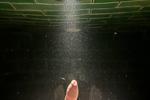 COCK UNDER WATER