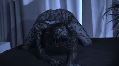 🖤