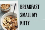 small kitty