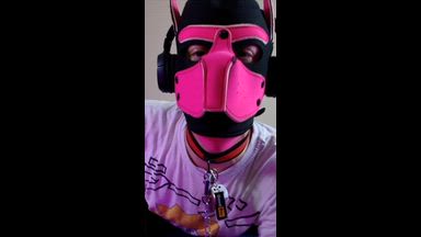 Pink pup sticks his tongue out for you