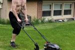 Mowing The Lawn