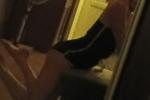 pippa live Chaturbate webcam gallery thumbnail