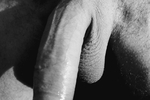 piluso live Chaturbate webcam gallery thumbnail