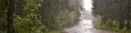 Chaturbate - AnonymousUser's rileyraine420Goal images