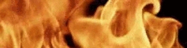 Chaturbate - AnonymousUser's ElainaRoseGoal images