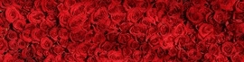 Chaturbate - AnonymousUser's littlebonnie's Hugs and Kisses images