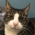 Chaturbate - AnonymousUser's Example images