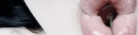 Chaturbate - AnonymousUser's Tip Goal Panel + images