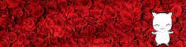 Chaturbate - silici0's image for Lovense-Me